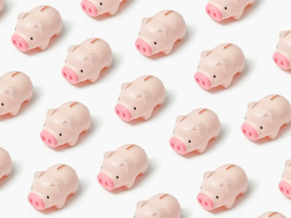 Piggy bank